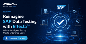 SAP data testing automation with Effecta™ ensuring accurate S4HANA validation and integration testing SAP data testing automation with Effecta™ ensuring accurate S4HANA validation and integration testing